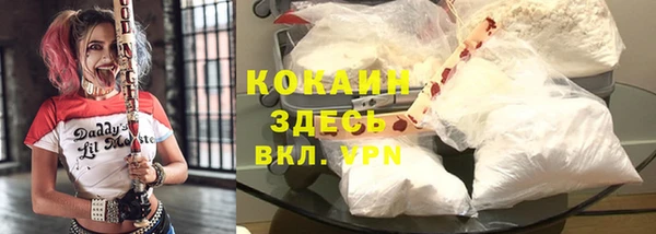 ECSTASY Новокубанск