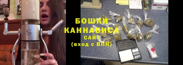 прущий лед Новозыбков