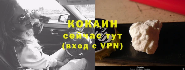 твердый Верхний Тагил