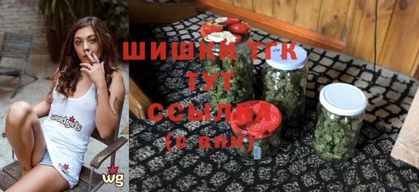 ECSTASY Новодвинск
