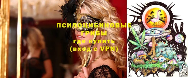 прущий лед Новозыбков