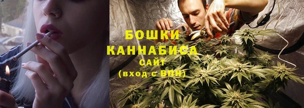 прущий лед Новозыбков