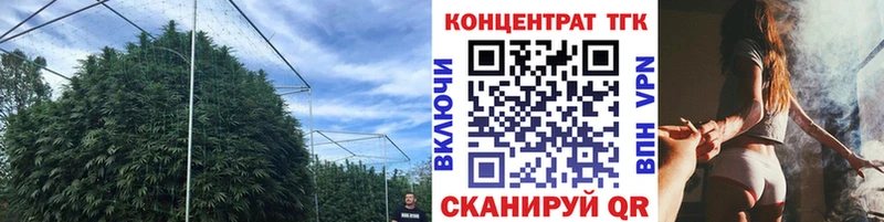 OMG сайт  Архангельск  Дистиллят ТГК гашишное масло 