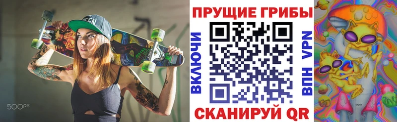 Псилоцибиновые грибы Cubensis  мориарти официальный сайт  Архангельск  блэк спрут как зайти 