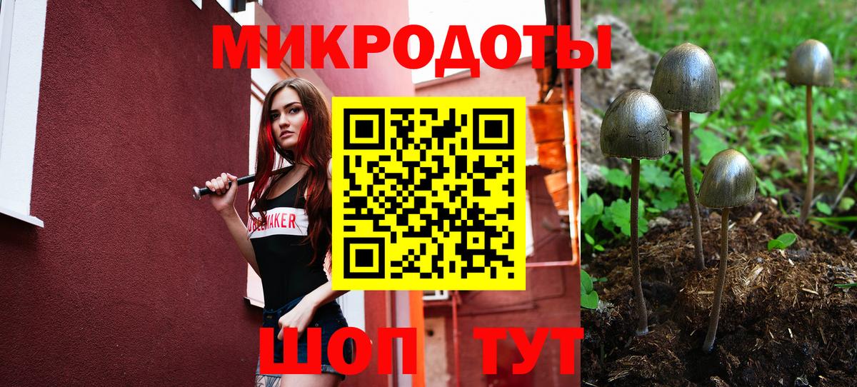 Псилоцибиновые грибы мухоморы  Псилоцибиновые грибы Magic Shrooms  Вход с VPN  наркотики  Архангельск 