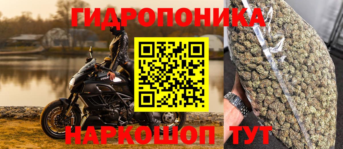 Конопля Ganja Архангельск